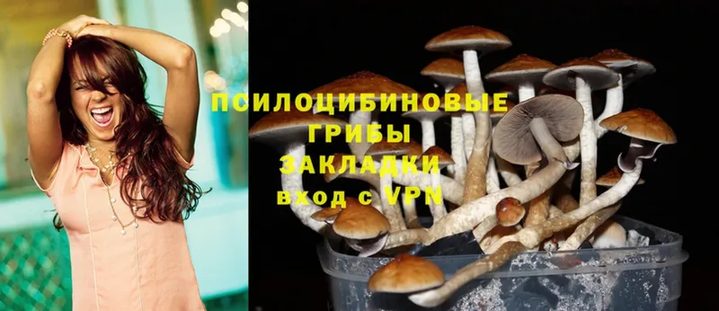 Галлюциногенные грибы Psilocybine cubensis  Николаевск 